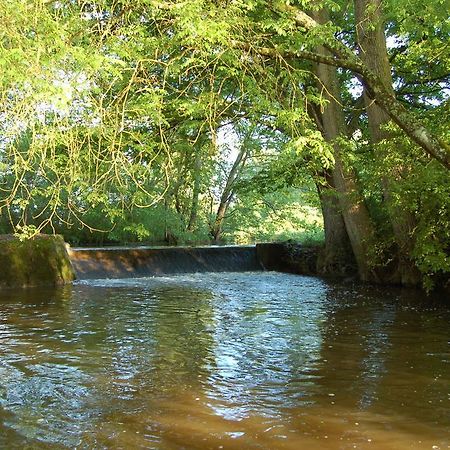 Le Moulin Neuf Bed & Breakfast Vignoux-sur-Barangeon Exterior foto