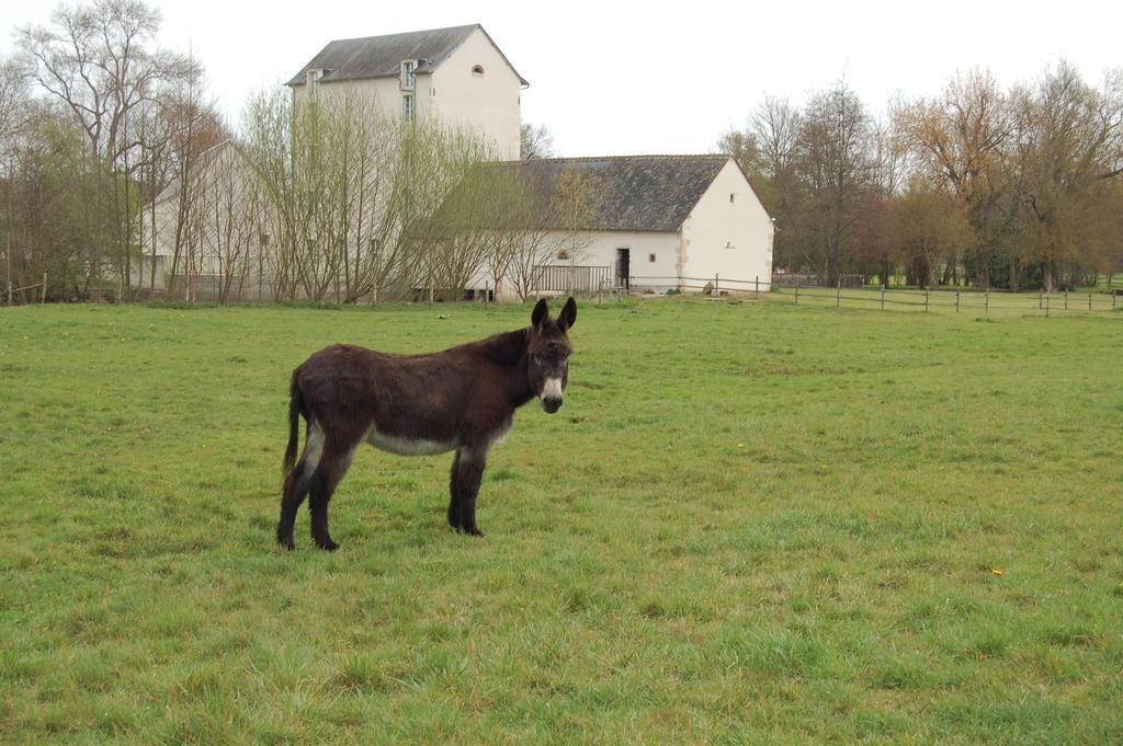 Le Moulin Neuf Bed & Breakfast Vignoux-sur-Barangeon Exterior foto